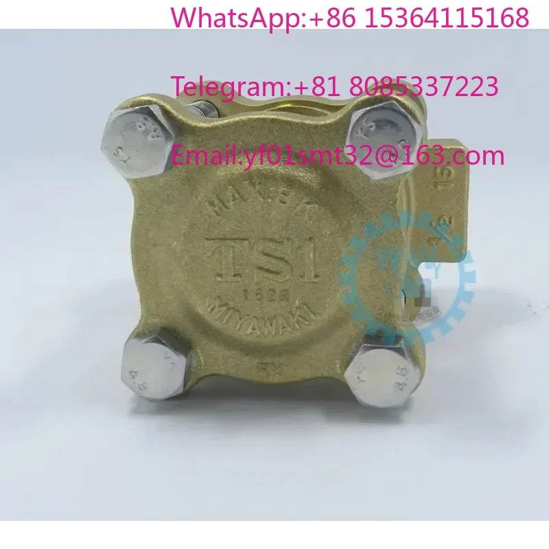 TS1 Flow Observer Brass Viewing Mirror DN15 Pipe Sight Glass With Indicator Float For Water Steam Pipeline Flow Monitoring