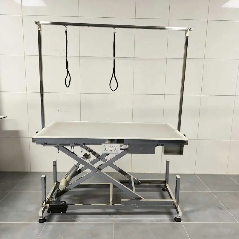 Electric Hydraulic Pet Grooming Table With LED Light, Stainless Steel Dog Grooming Table For Pet Salon, Adjustable Height