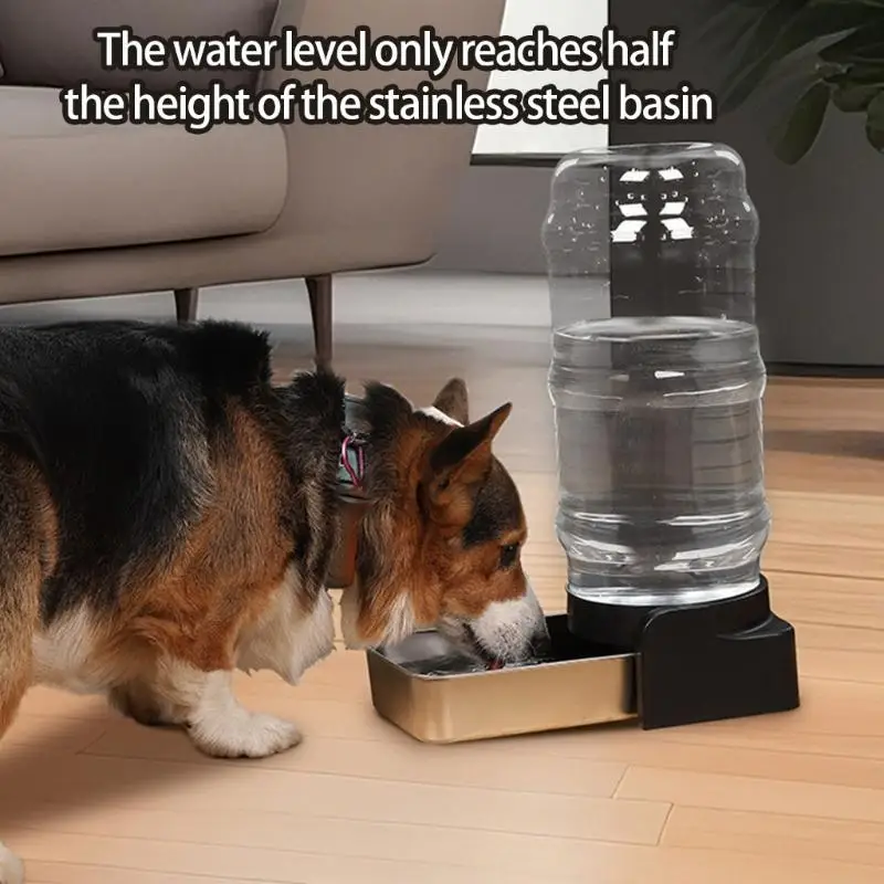 

Прочная из нержавеющая сталь Pet Water Water 5.7L Автоматический дозатор 3 Заменяемые фильтры D2RD