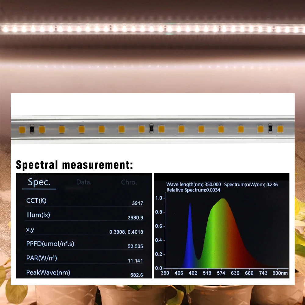 Grow Light Strips Full Spectrum 220V Phyto โคมไฟกันน้ำ LED แถบพืชสำหรับต้นกล้า Grow เต็นท์ Hydroponic 1-20M