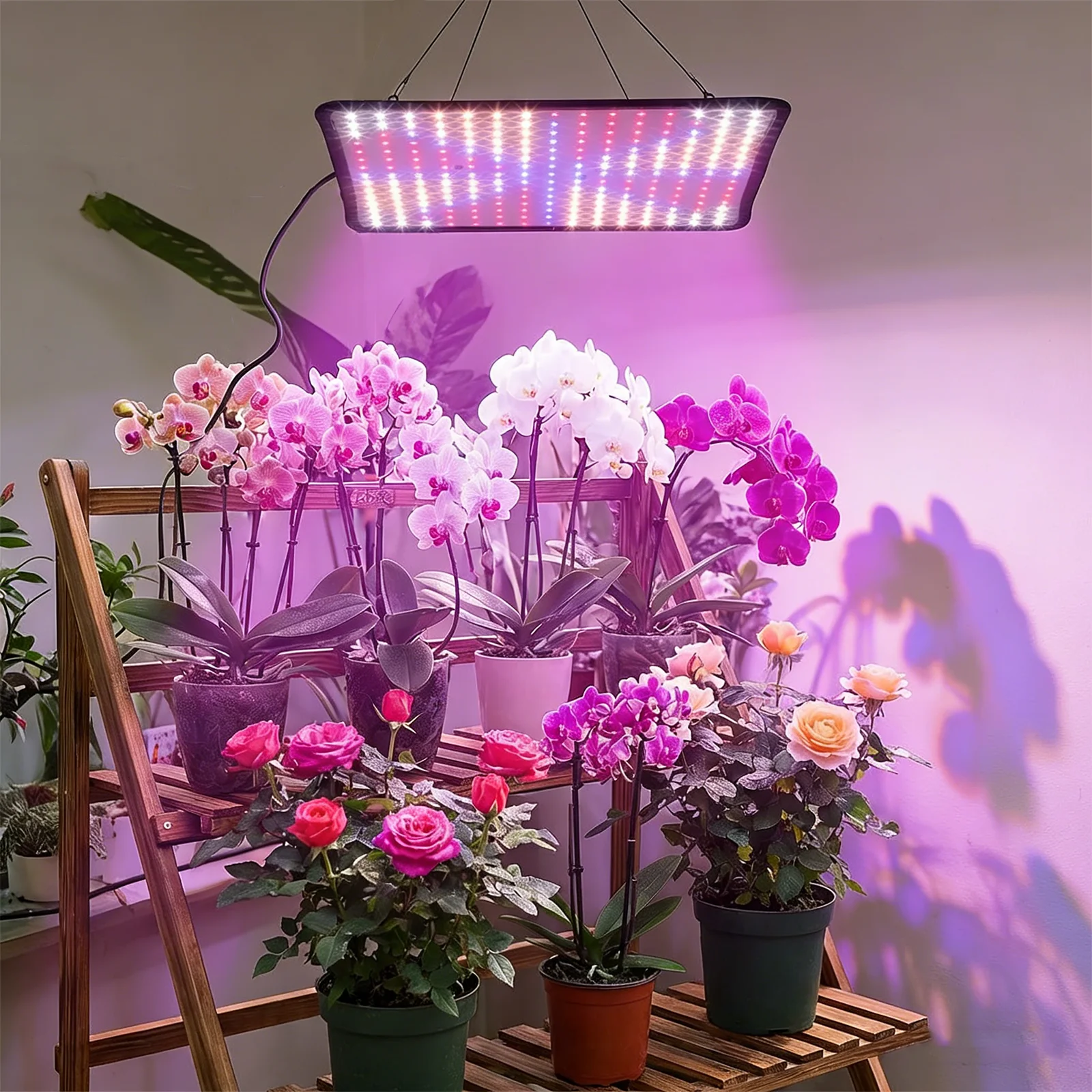 

Full Spectrum LED Grow Light for Indoor Plants, Promotes Growth & Early Maturity for Seed Starting - Energy Saving Plant Lights