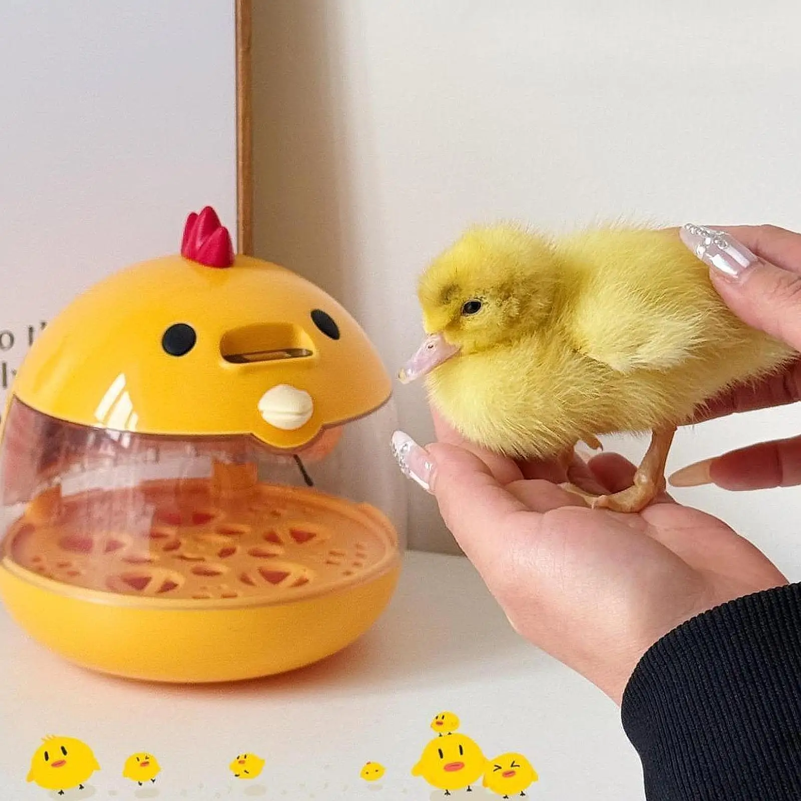 

1-6 Eggs Incubator Practical Eggs Hatching Breeder Temperature Control Clear Observation for Goose Chickens Birds Quail Supplies