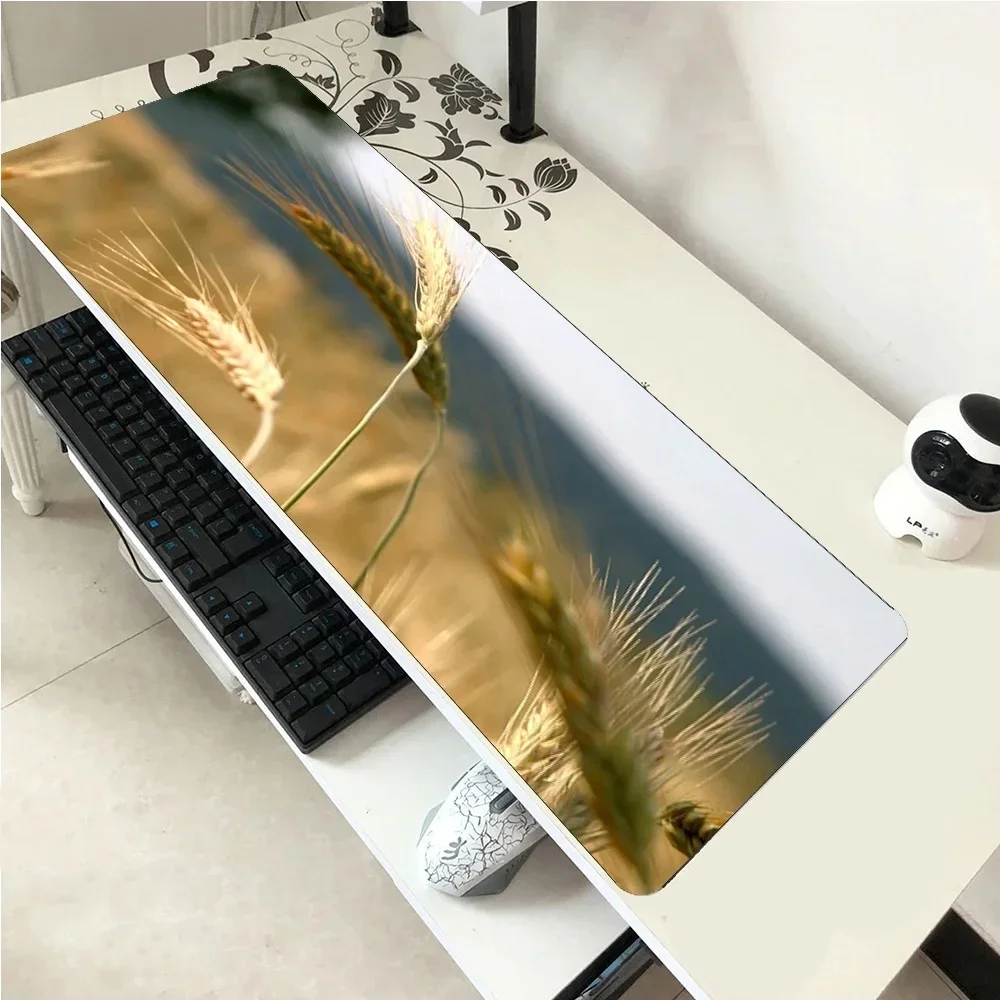 Wheat Earth Mousepad Locrkand Gaming Mouse Pad Pc Computer 800x300x3mm Gamer Accessories Mat Gamers Laptop Hot Protector Pads