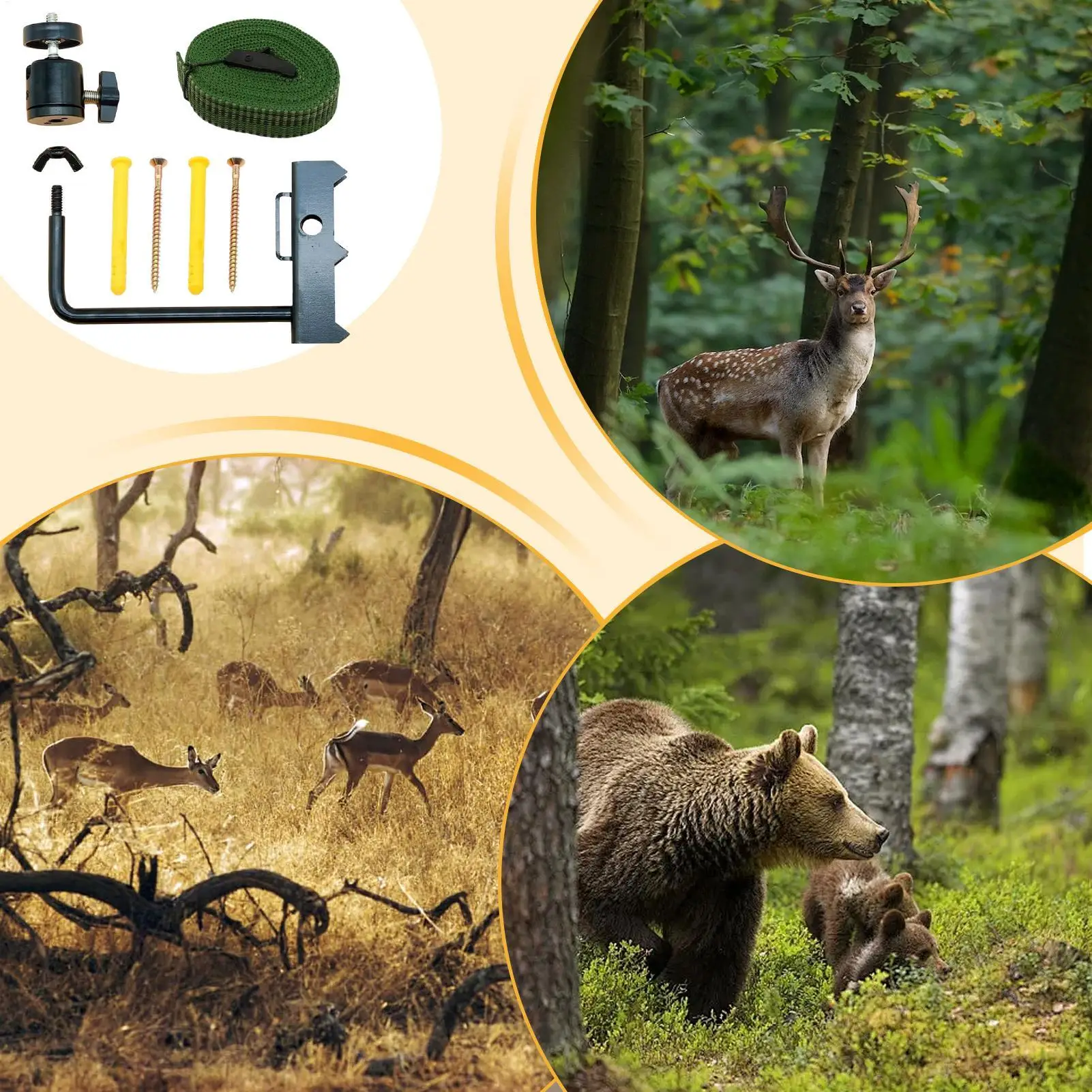 Trail Camera Mount Bracket Stable Support Easy Installation Pole Mount Trail Camera Bracket For Professional Ranch Owners - view 4