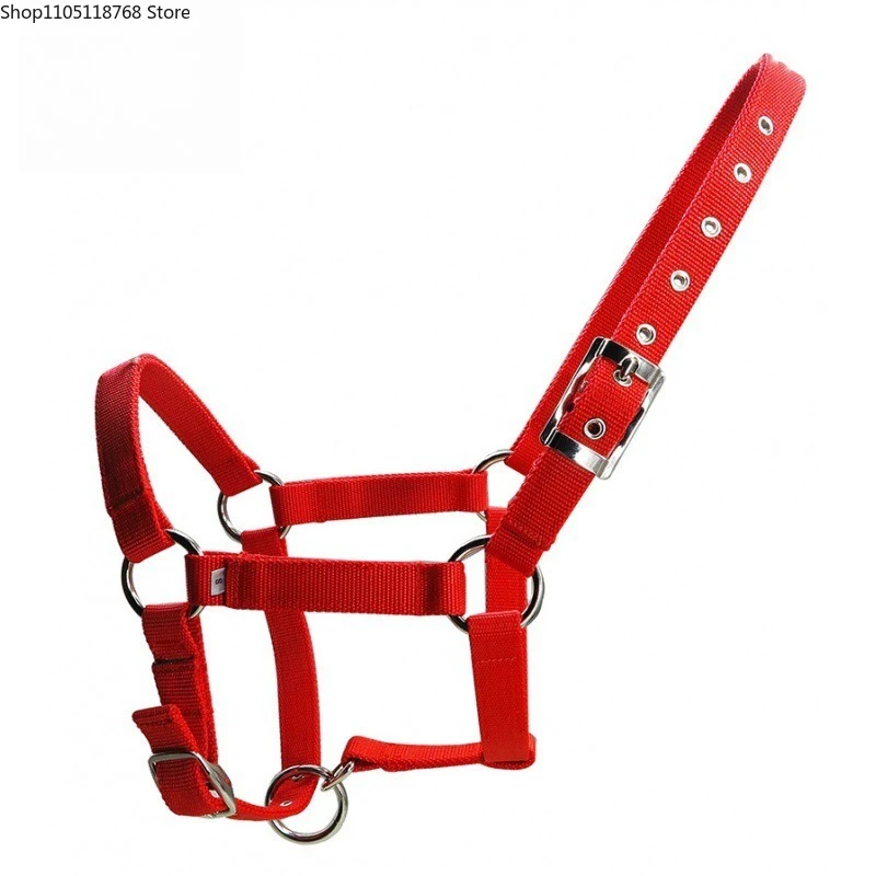 Adjustable Padded Halter Pony Bridle Head Collar Professional Soft Padded Horse Halter Bridle Headstall for Equine Supplies