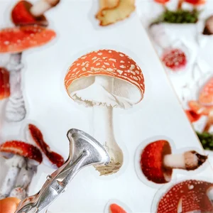 Jianqi 40 PCs/Vintage -Tasche Ginkgo Blumen Blumen Haustier Aufkleber DIY -Tagebuchdekoration Album Scrapbook 10 Hauptverkaufsaufkleberbibliothek - №4