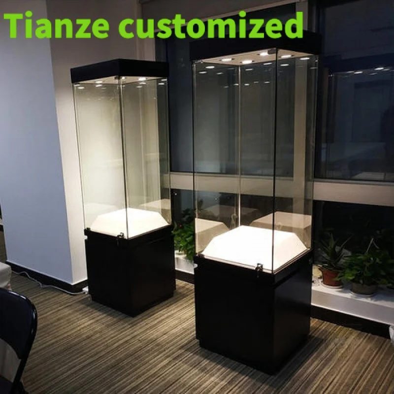 

Customized-Guangzhou Factory Hot Sale High End Museum Glass Display with Light Museum Exhibition Display Cabinet