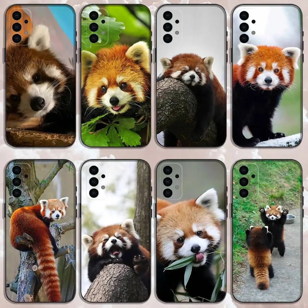 

Cute Red panda Animal Phone Case For Samsung Galaxy A13,A21s,A22,A31,A32,A52,A53,A71,A80,Soft Black Shell