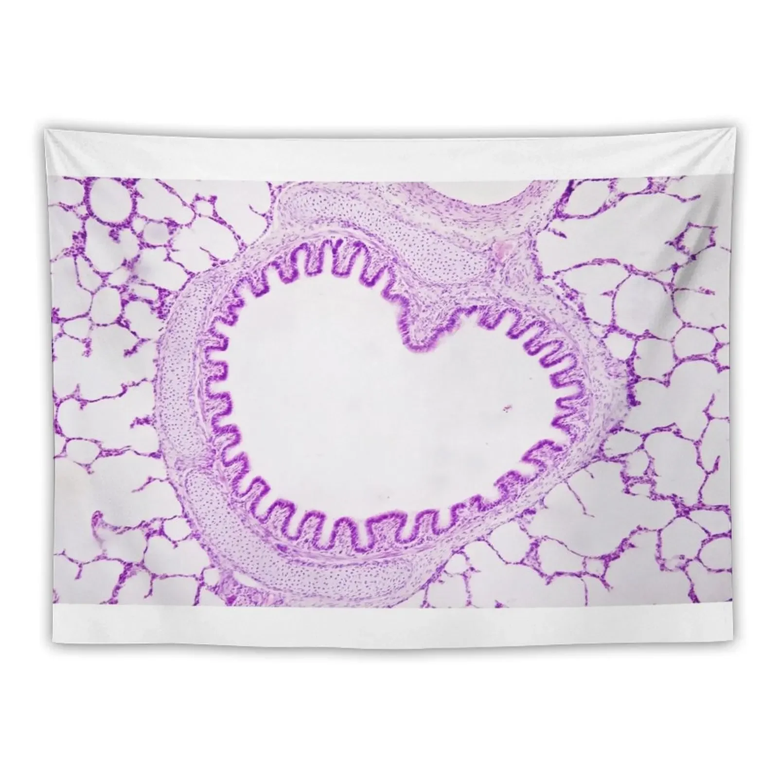 

Alveolus tissue Tapestry Wall Deco Aesthetic Room Decors Room Aesthetic Home Decorations Tapestry