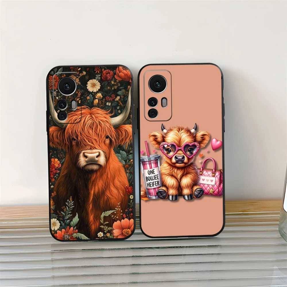 Cute Highland Cow P… - image