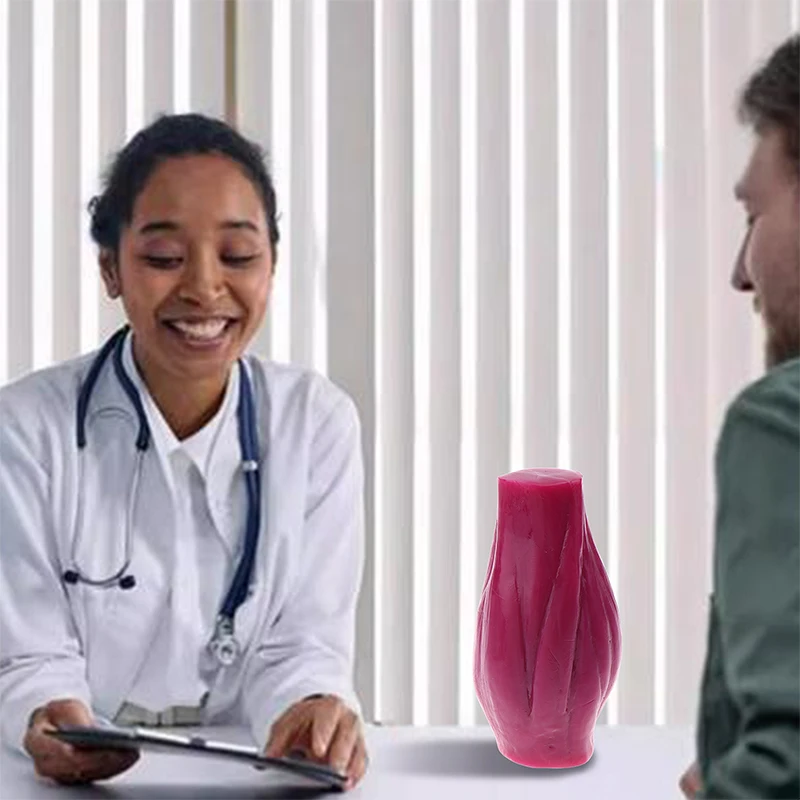 1 Lb Muscle Model Realistic Human Body Replica Teaching Display Educational Medical Tool Safe Human Muscle Structure Model