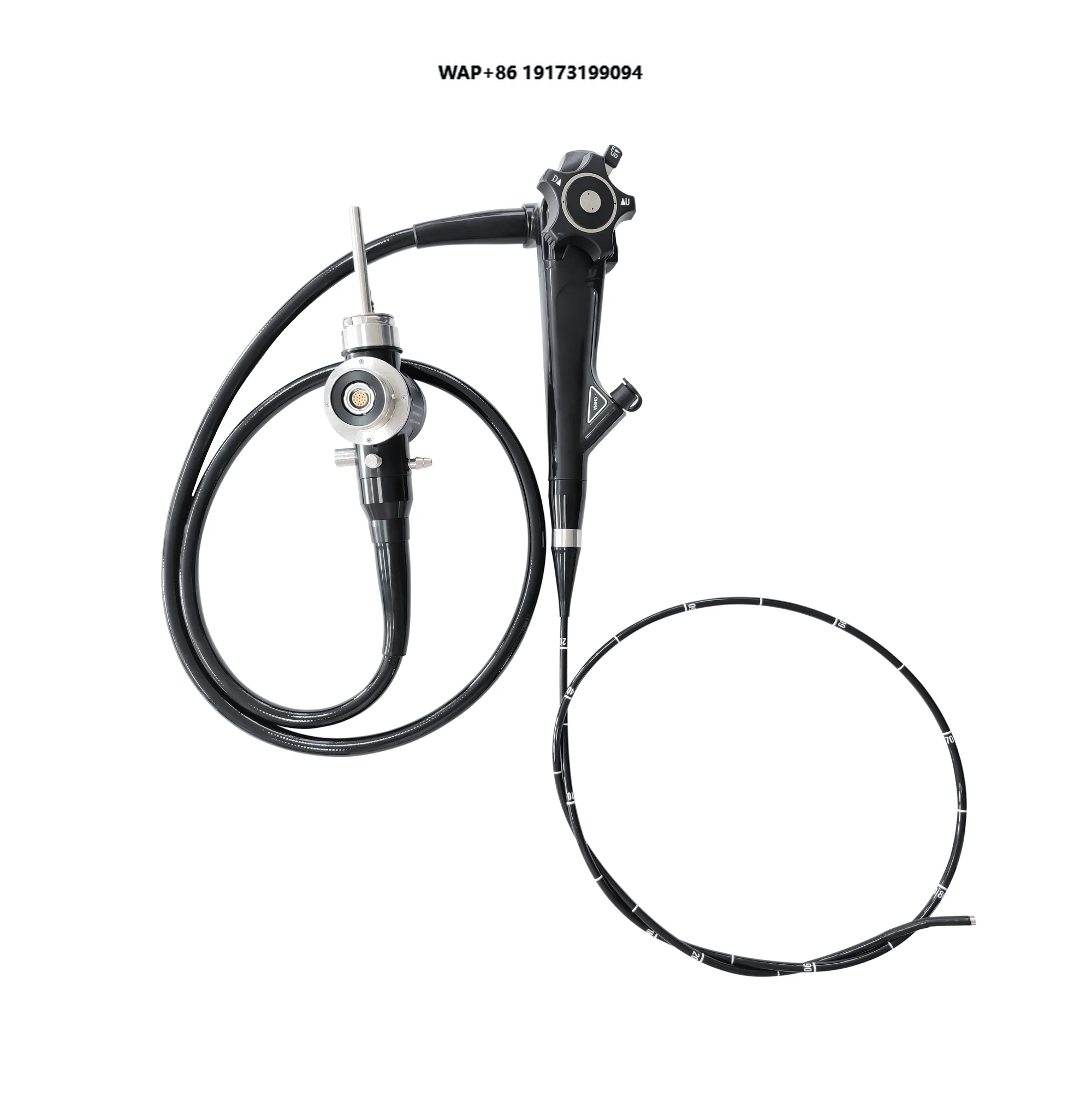Veterinary Clinic CMOS Veterinary Endoscope 6.5 mm Insertion Tube Flexible Gastroscope for Diagnosis of Gastrointestinal
