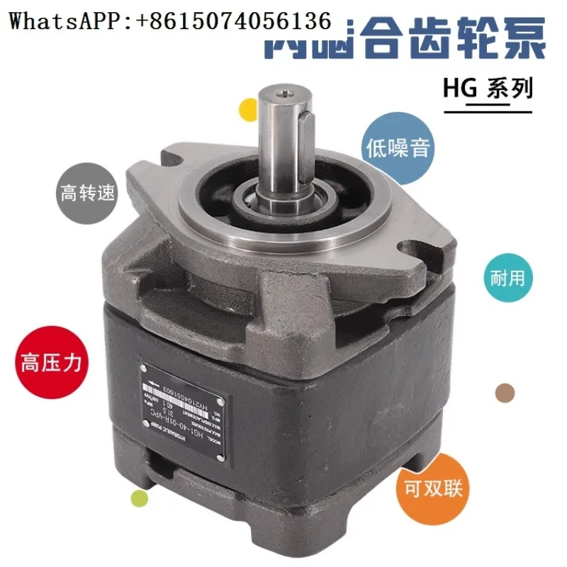 Hydraulic pump gear pump HG1/HG0/HG2-80/125-01R-VPC internal meshing hydraulic servo oil pump dual