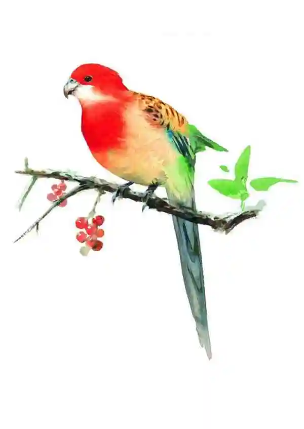 

4Pcs 100X42mm 5-Spoke Tire Tyre 17Mm Wheel Hex For Arrma 1/7 Infraction Felony Limitless RC Car Upgrade Parts