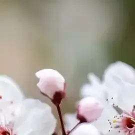 

24000mAh for Scooter, Bicycle Batteries Built in BMS New 48V 24Ah 13s6p Lithium Battery Pack 48v