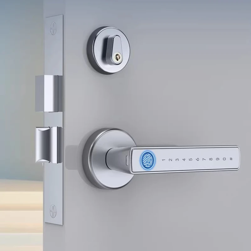 Anti-door lock, fingerprint lock, security door smart lock, underground storage room password lock