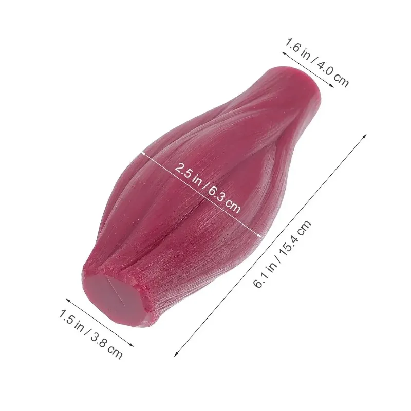 1-pound Human Muscle and Fat Replication Model for Nutritional Science and Inspiring Fitness Enthusiasts