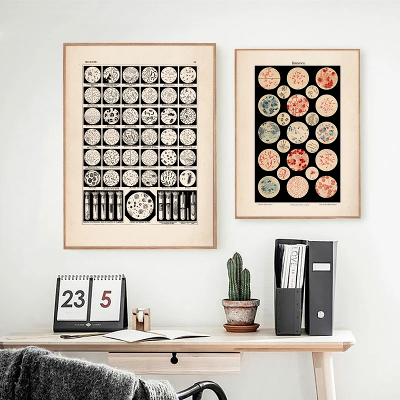 (2D Canvas Painting)  Microbiology Bacteria Microbe Art Print Old Medicine Poster Science Wall Art Pictures Canvas Painting B