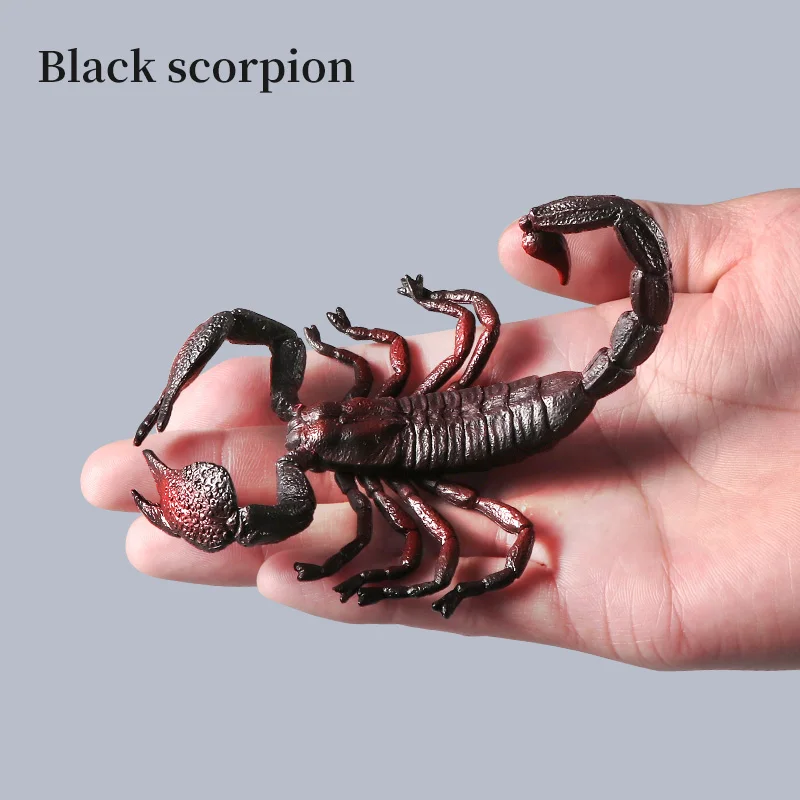 شخصيات عمل العقرب الصلبة محاكاة المفصل الحشرات نماذج للحيوانات لعبة تعليمية معرفية للبنين والبنات الأطفال G