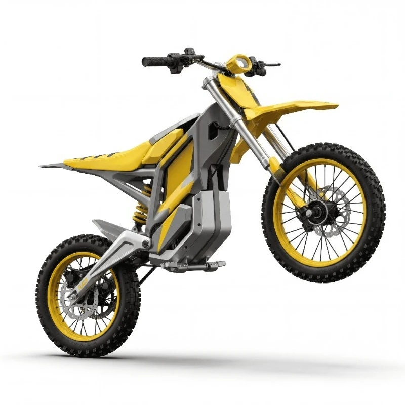 Rs Brushless hydraulic heavy duty brake wide tire electric off-road motorcycle three-speed waterproof 48V 55KM/H 2000W/3000W