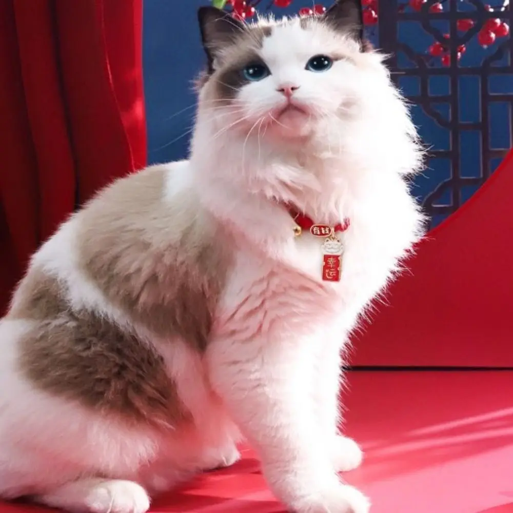 

Creative Handmade Pet Bell Necklace Chinese Style Cute Braided Cat Collar Adjustable Puppy Collar Jewelry Accessories