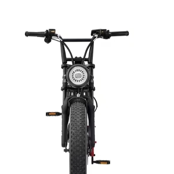 

2025 Hot Sale SD Model Fat Tire Electric Bicycle Foldable Electrical City Bicycle Bikes For Adults