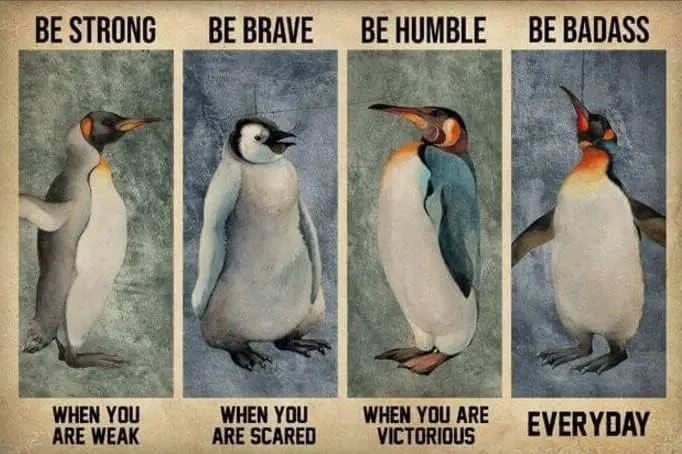 Vintage Penguin Be Strong Be Brave Be Humble Be Badass Everyday Aluminium Metal Tin Sign 8x12 Inch Home Poster Bar Pub Deco sign