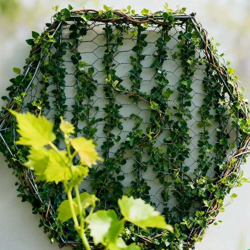 1/10M Draadgaas Tuinbevestigin - Rabbit Cage Wire recensie en prijs