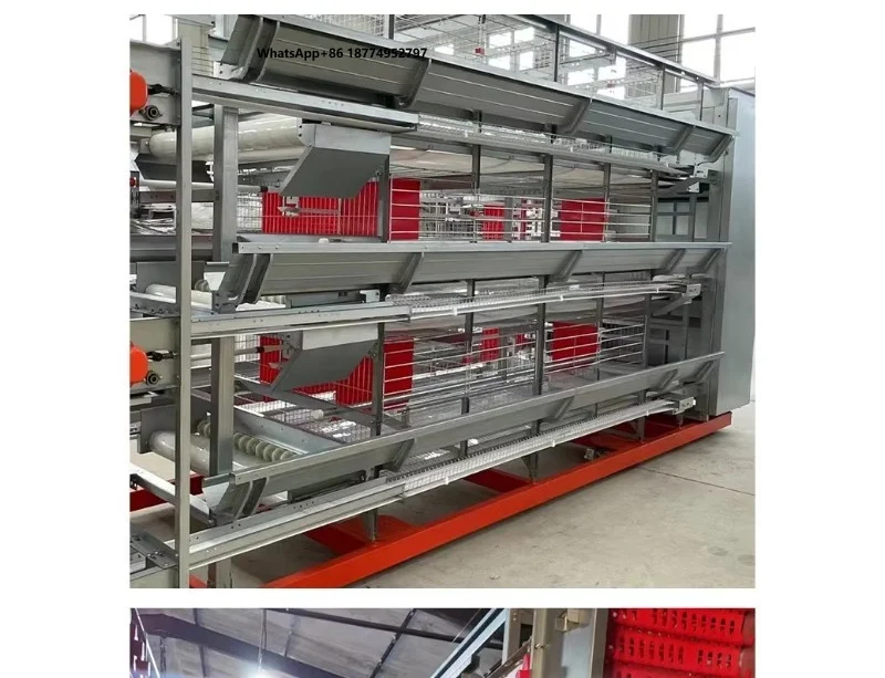 Large Tiered Layer Chicken Cage Automatic Egg Collecting Thickened Column Sturdy Durable Independent Compartment