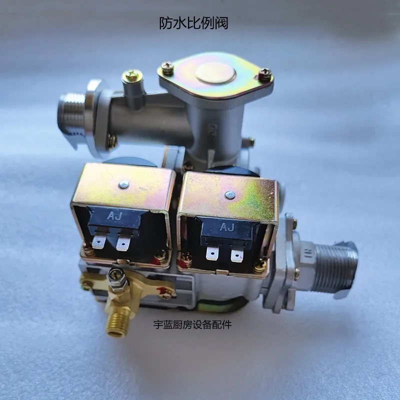 Fried furnace steaming cabinet Steamer double regulator solenoid valve, waterproof proportional DC24V WY22-01CD