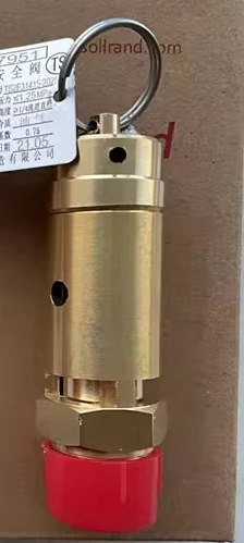 

2026 new Rand M55 M75 Air Compressor Safety Valve 39587951 Factory Genuine Parts
