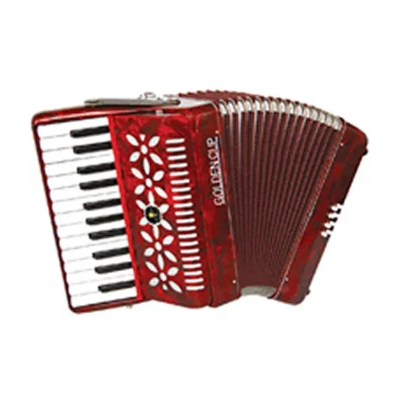 

25 Keys 8 Bass Piano Keyboard Accordion Instrument JP2508