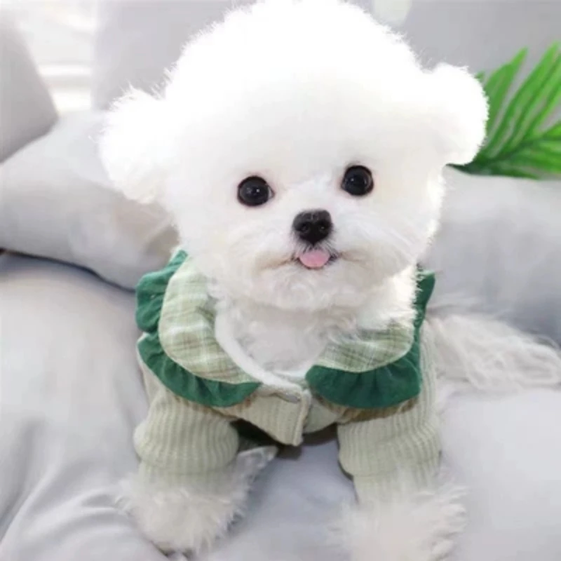 Pet Bixiong Bomei Teddy VIP Schnauzer Small Dog Clothing Autumn And Winter Dog Four legged Cotton Coat