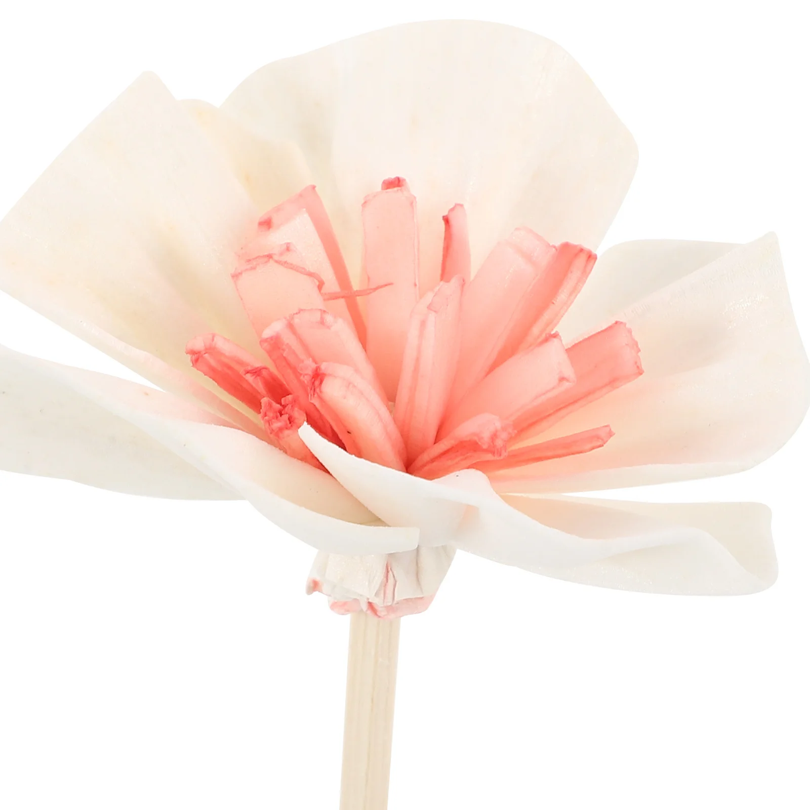 

5pcs Aroma Diffuser Flower Natural Rattan Reed For Room Fragrance Decorative Aromatherapy Accessories Essential Oil Diffusers