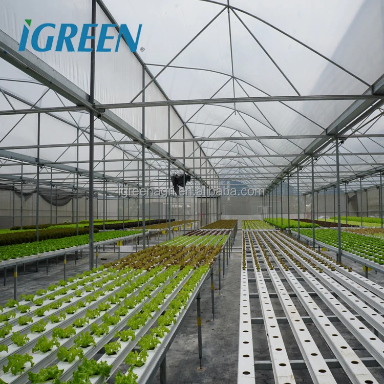 Komercyjny system hydroponiczny NFT