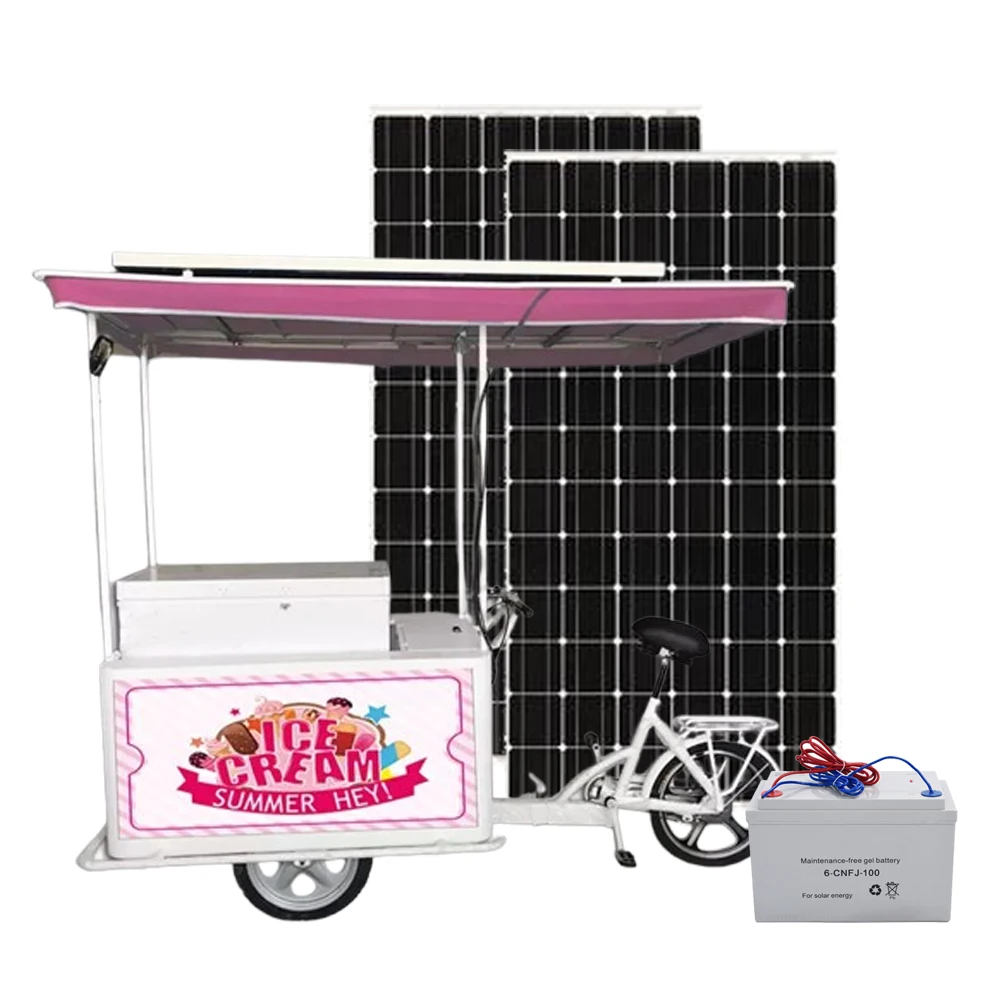 

Popular Design 12V/24V with 208 Liter Freezer Solar Ice Cream Tricycle Bike Food Truck Mobile Shop with Solar Powered Freezer