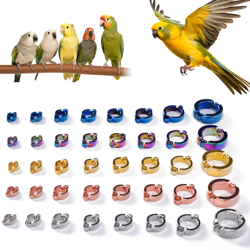 New 4-15mm Parrot Foot Rings Metal Pet Bird Leg Rings Outdoor Fly Training Activity Anti-Lost Opening Clip Leash Accessories