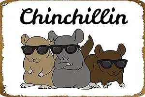 Chinchilla Pet Gift Kids Poster Metal Tin Sign 8