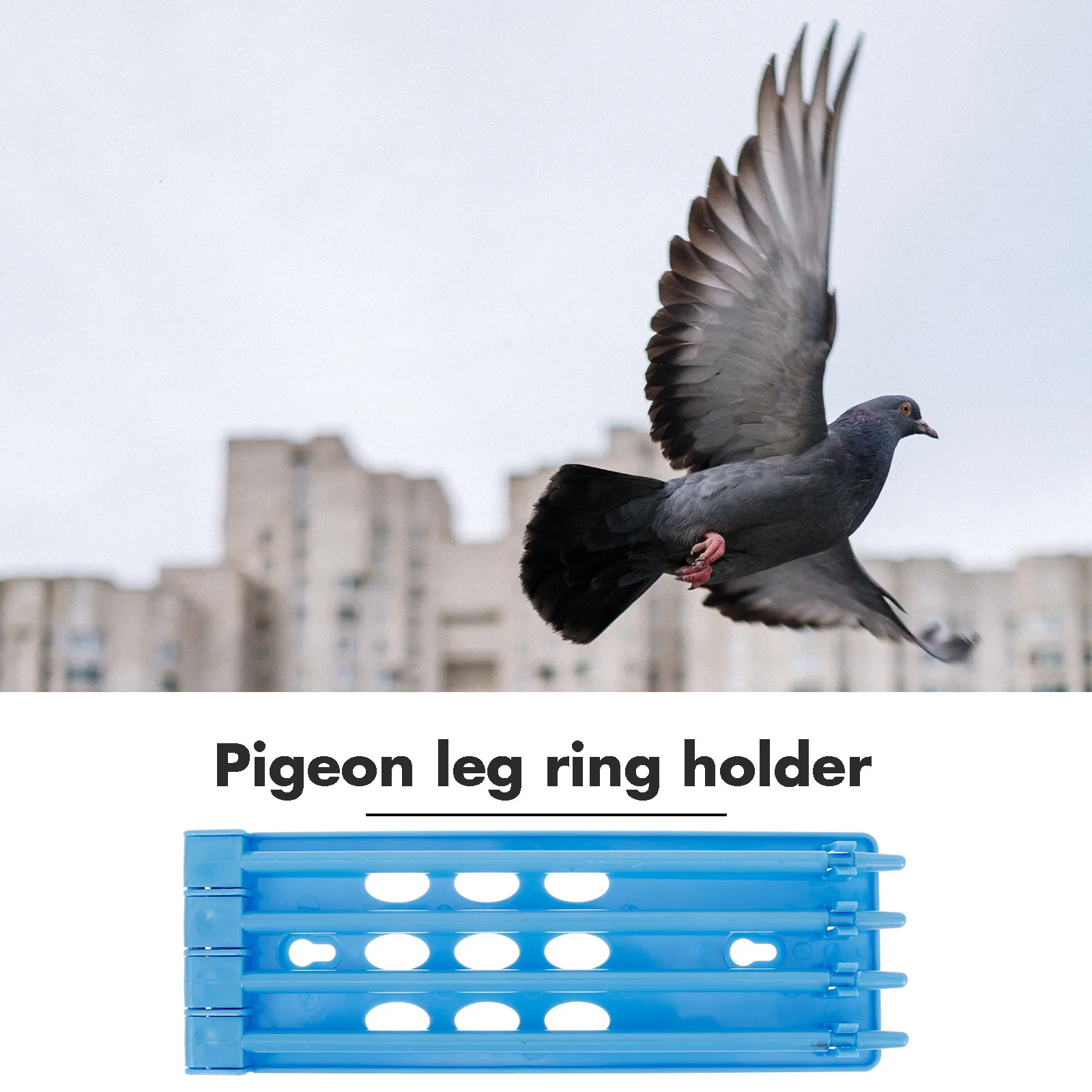 Pigeon Leg Ring Holder Heavy-Duty Plastic Racing Pigeon Supplies Foot Ring Storage Rack for Easy Breed Identification and