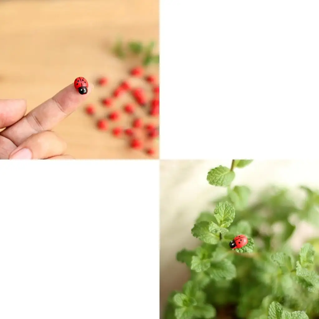 10Pcs Mini Ladybird Red for Doll House Garden Decor Ornament