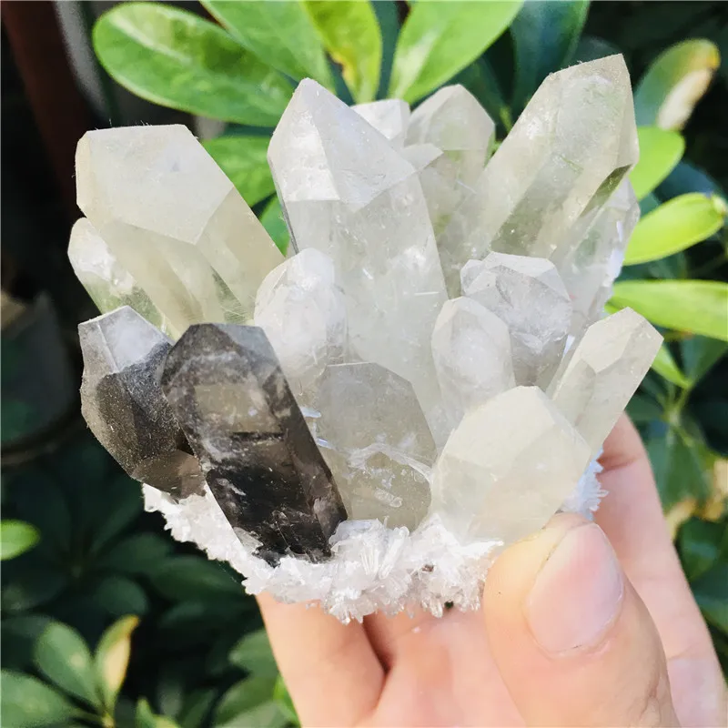 Natural white crystal light tea-colored crystal clusters f