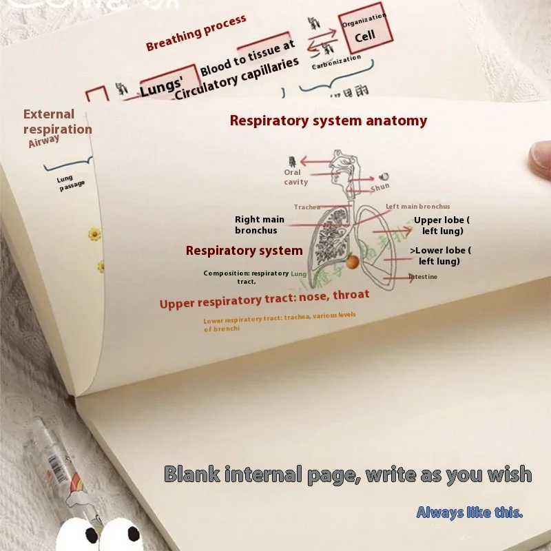 دفتر ملاحظات Ins فارغ، مستوى مظهر عالي، دفتر ملاحظات سميك للغاية للطلاب، مفكرة، مذكرات نسخ ناعمة ذات سعة كبيرة، دراسة