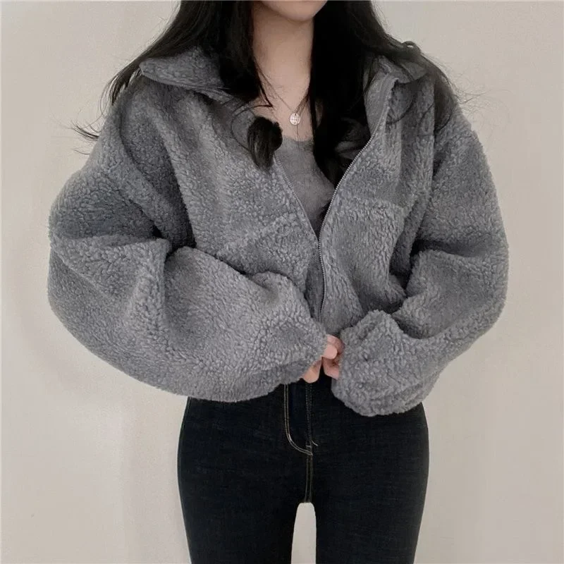 

Women's Short Zipper Hoodie Thickened Stand Collar Lamb Velvet Jacket Loose Fit Autumn Winter Casual Style Outerwear