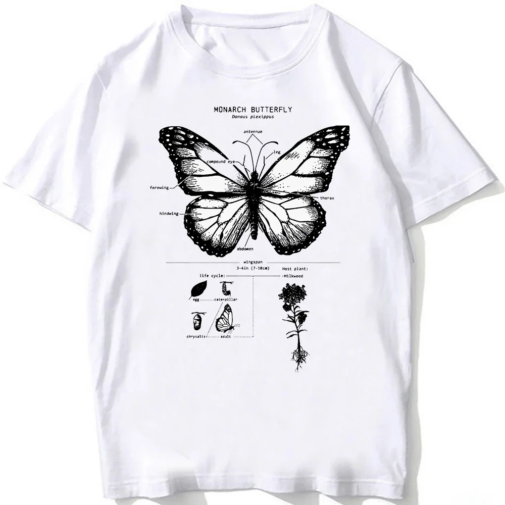 

Повседневные футболки для пляжа и дайвинга, белая футболка, винтажные футболки, футболка с изображением анатомии китовой акулы, женская одежда в стиле хип-хоп, эстетичная одежда