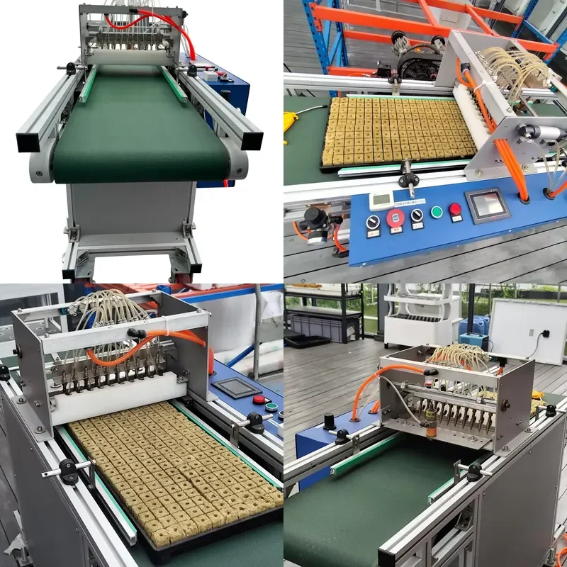 SFW  Certificate Greenhouse Automatic Seedling Machine for Vegetable Seeds Planting