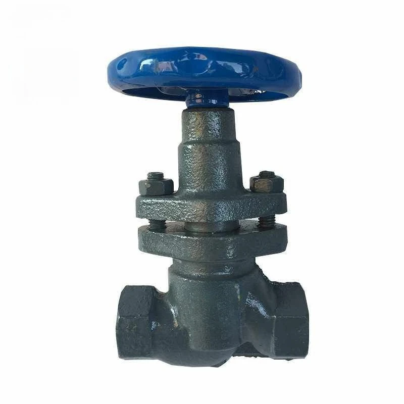 vanne-a-piston-a-filetage-haute-temperature-u11s-16-vanne-a-globe-a-filetage-interne-accessoires-dn15-20-25-pour-vapeur-et-huile-de-transfert-de-chaleur