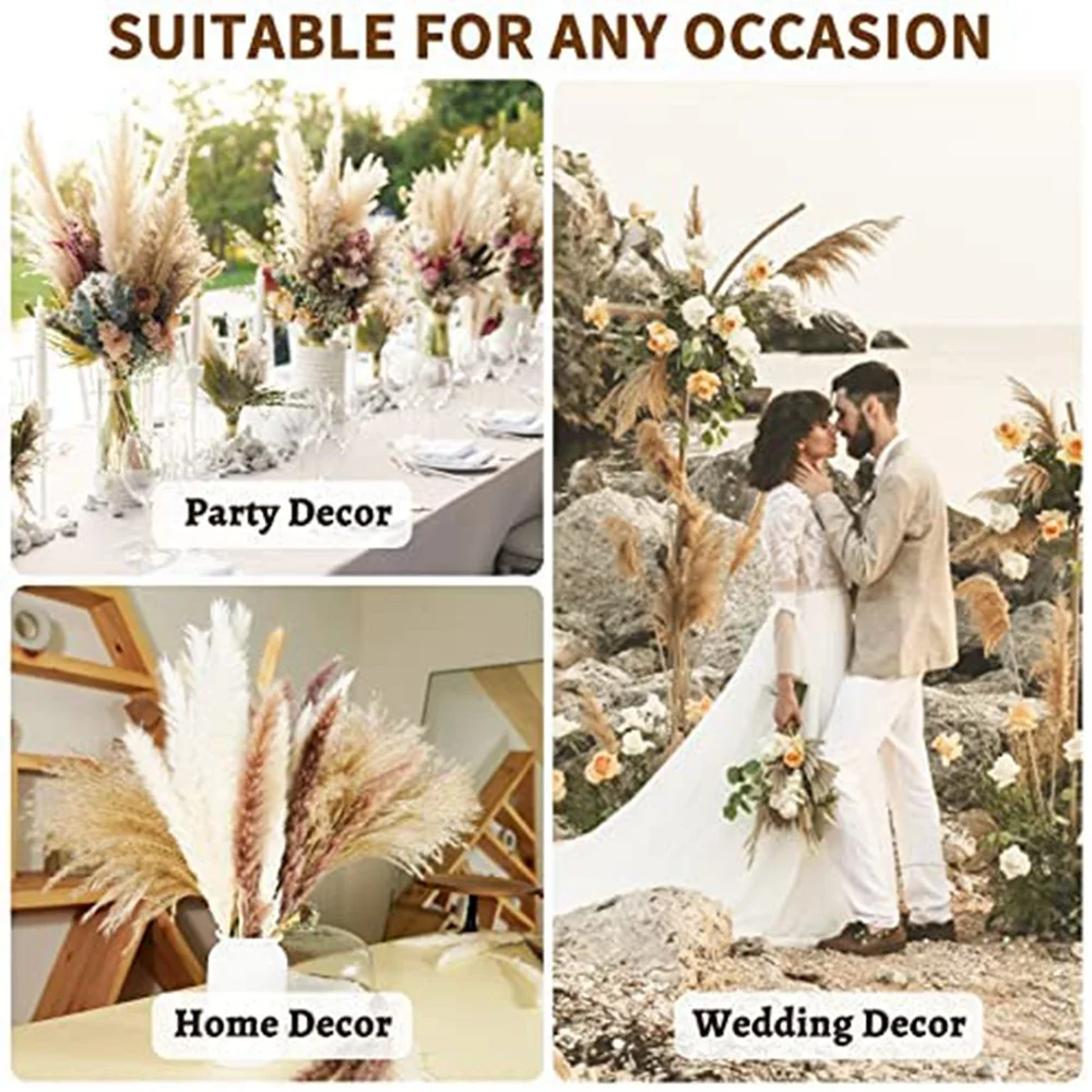 Pampas Grass Dried Pampas Reeds Natural Brown and White Rabbit Reeds for Bohemian Home Decor HOT