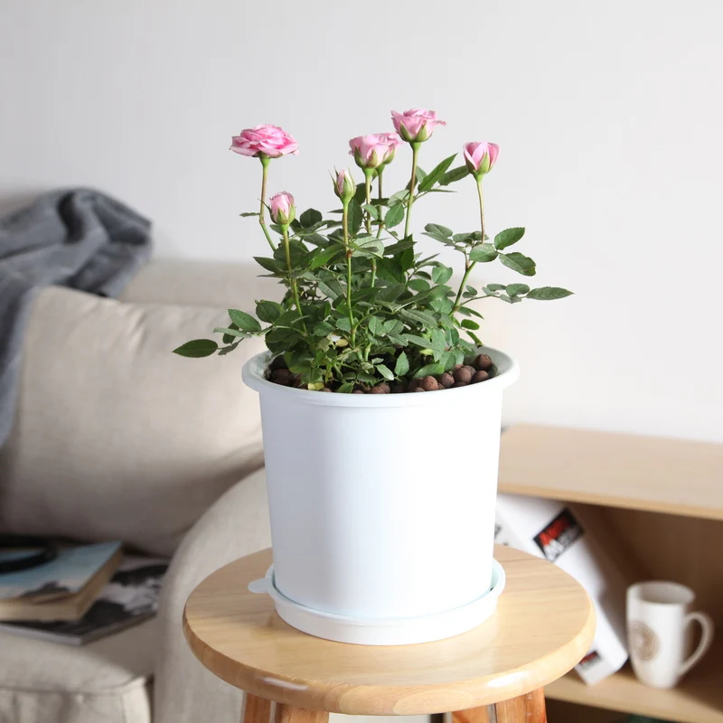 Meshpot Kunststoff-Blumentopf, Orchideentopf mit Löchern, doppelschichtiger Orchideentopf zum Umfüllen von Heim-Pflanzgefäßen, Garten-Sets – Detail 10