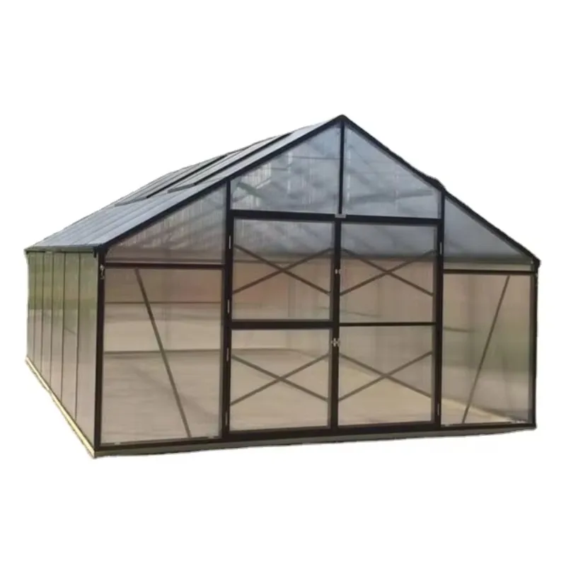 Serra agricola commerciale Grande casa verde in policarbonato con copertura in foglio PC Piccolo capannone in plastica