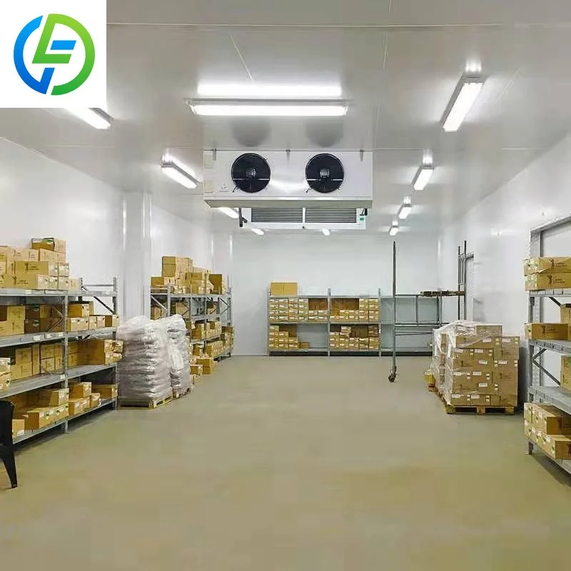 تخصيص انفجار الفريزر غرفة باردة صغيرة وحدة التبريد المعدات Cuarto Frio الحاويات التخزين البارد النظام التجاري